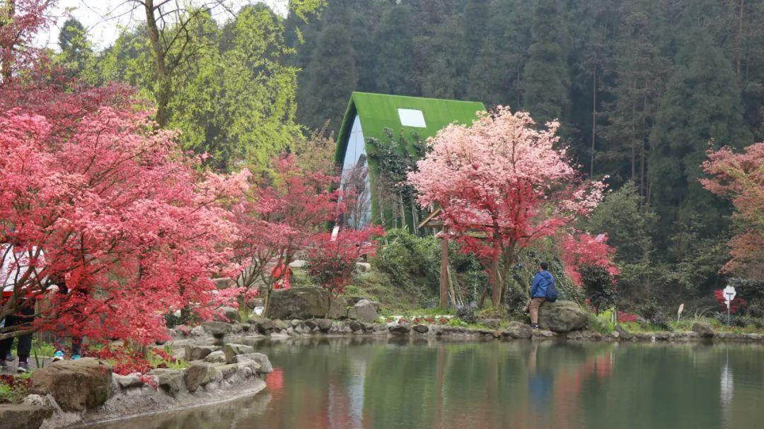 下水道井盖用竹签代替钢筋?重庆秀山官方:已介入调查,全面排查