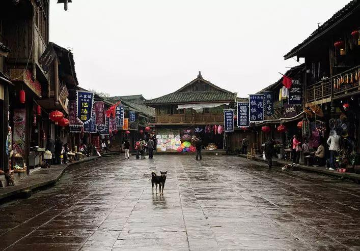 离开哈尔滨后,她“失恋了”!女游客的“冰城情书”十几万人点赞